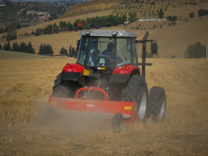Maschio Gaspardo CHIARA
