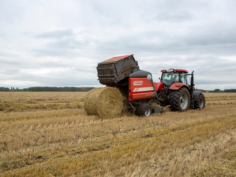 Maschio Gaspardo EXTREME 1