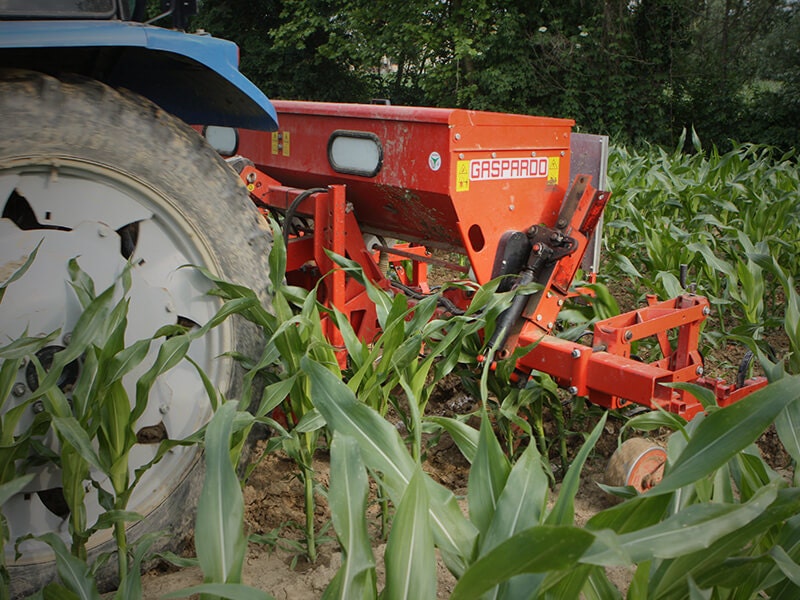Maschio Gaspardo HP