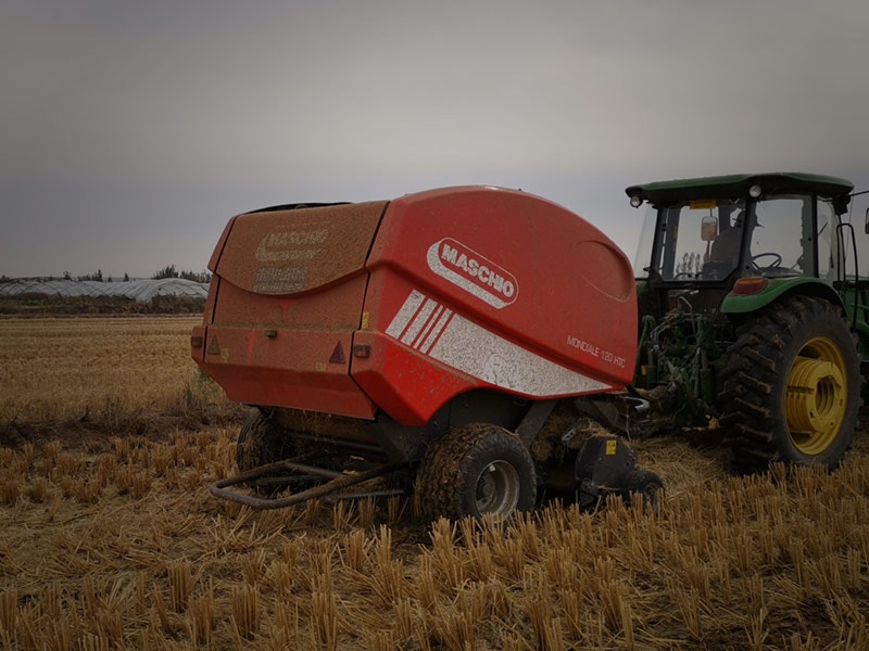 Maschio Gaspardo MONDIALE 120