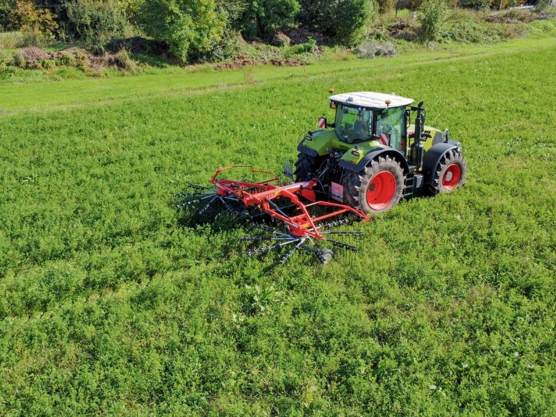 Maschio Gaspardo PONENTE
