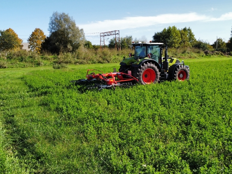 Maschio Gaspardo PONENTE