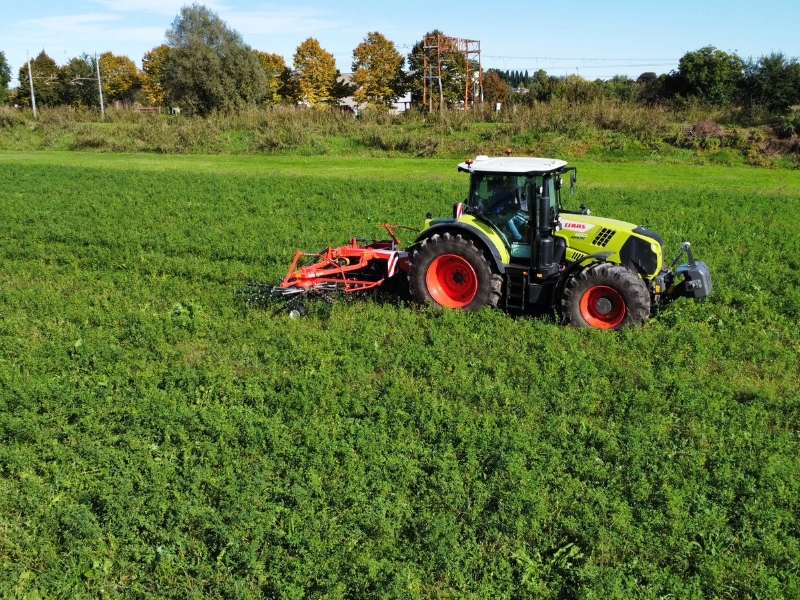 Maschio Gaspardo PONENTE