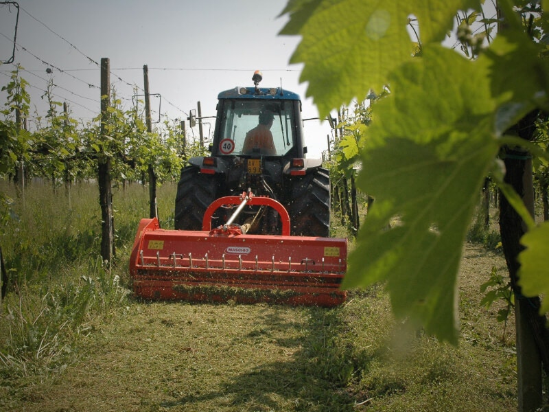 Maschio Gaspardo TIGRE