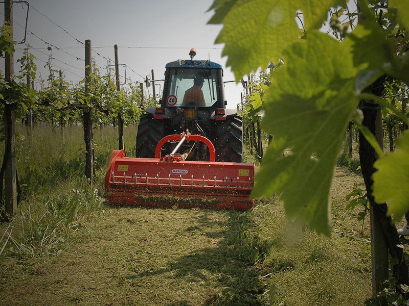 Maschio Gaspardo TIGRE